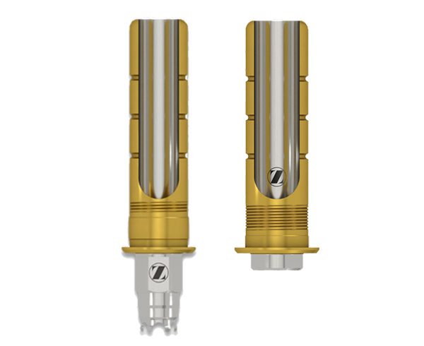 Certain BellaTek Flex Abutment