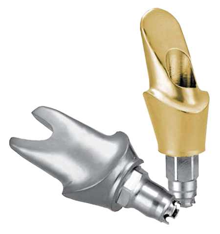 Encode Definitive Abutment